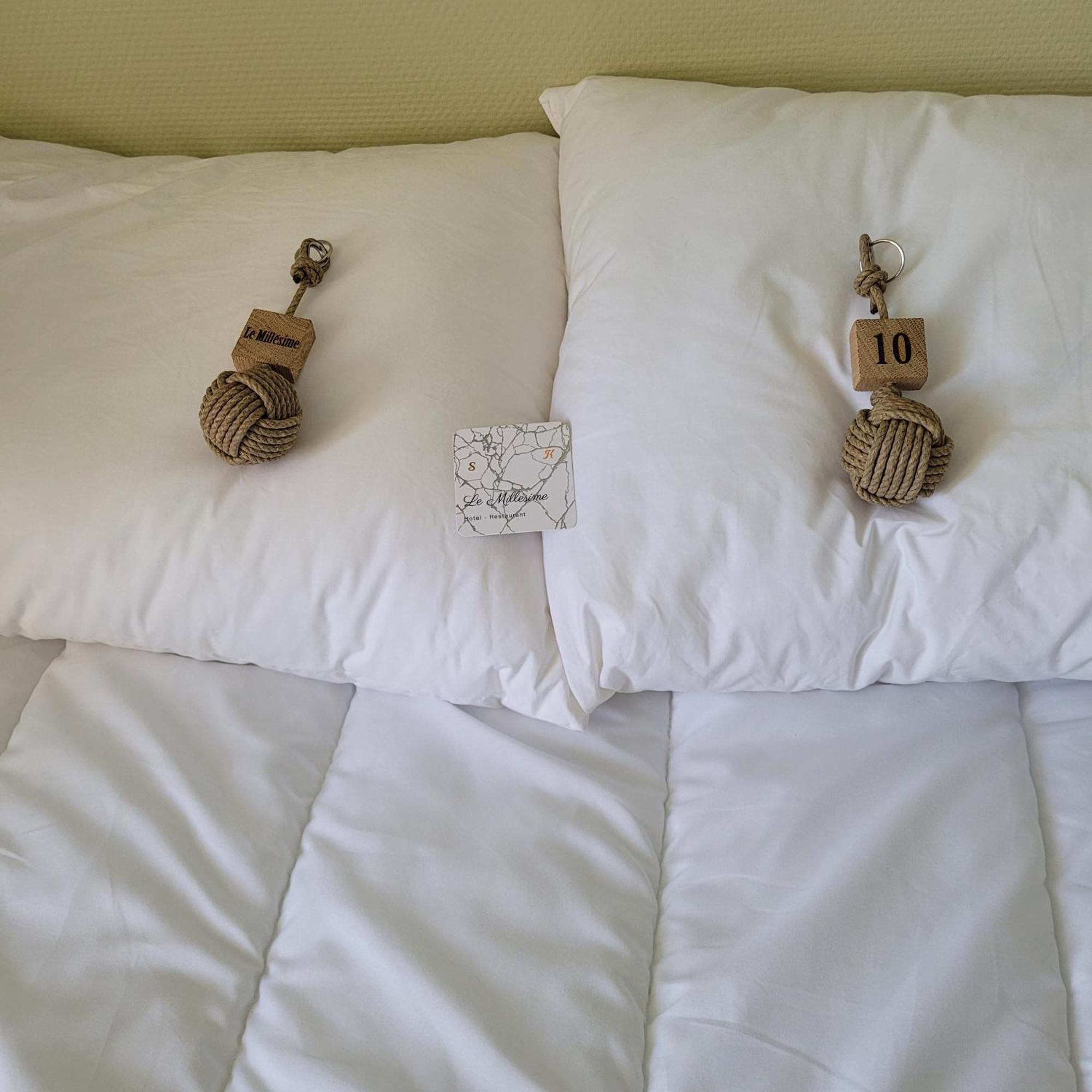 Hotel Le Millesime Meymac Dış mekan fotoğraf